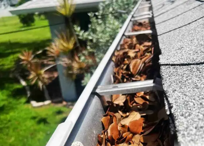 Forest Hills gutter cleaning home page